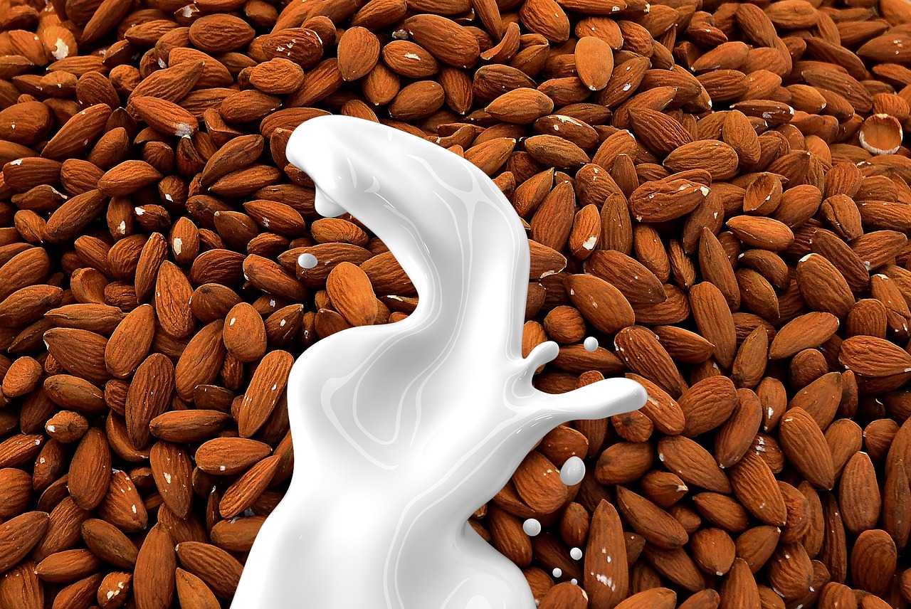 almond milk milk nut milk free photo