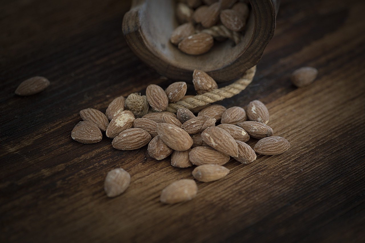 almonds salted salted almonds free photo