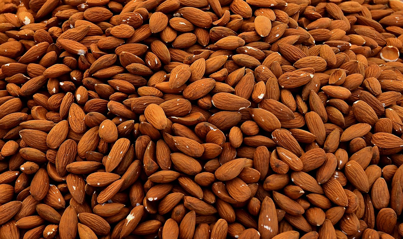 almonds cores nuts free photo