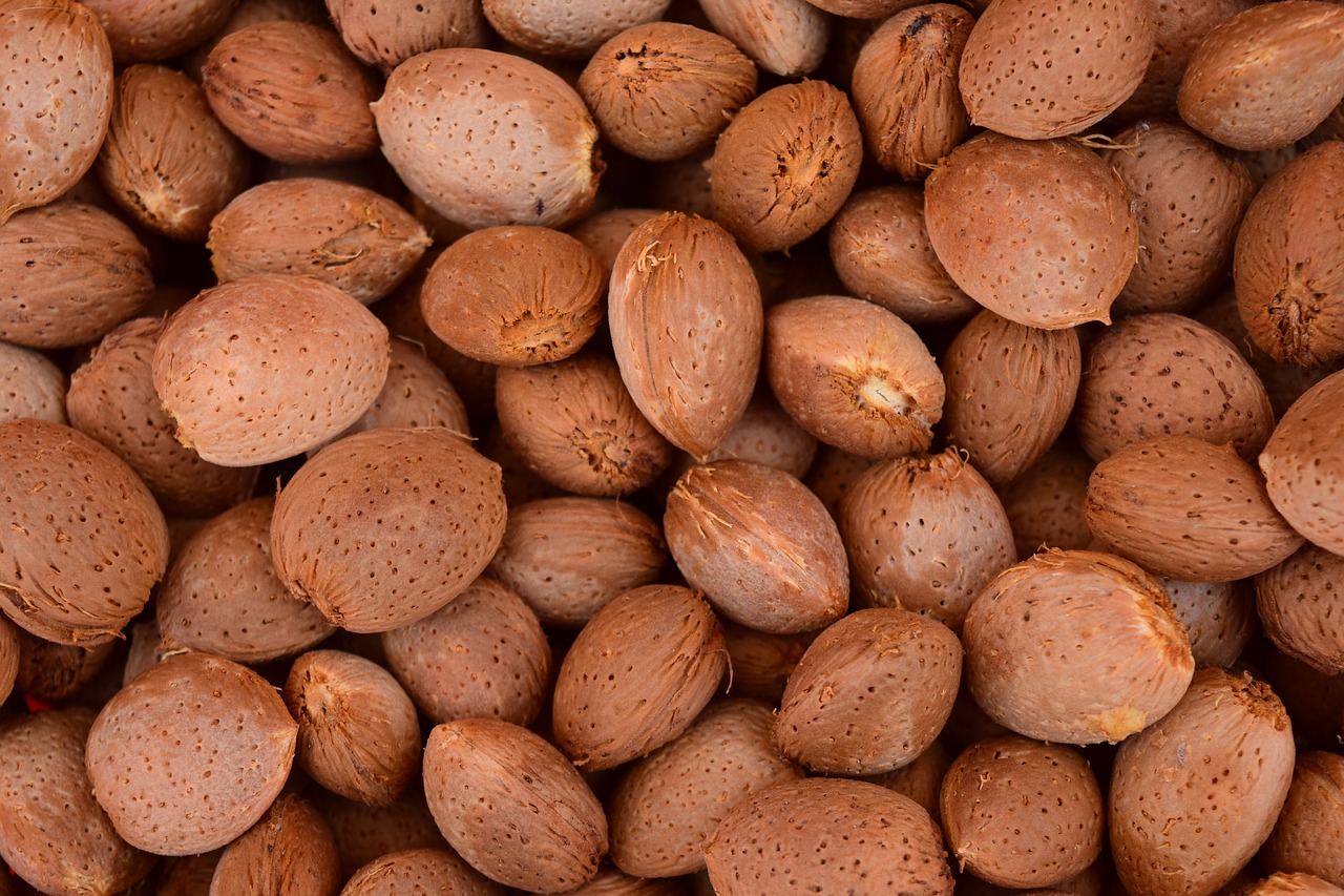 almonds background frisch free photo