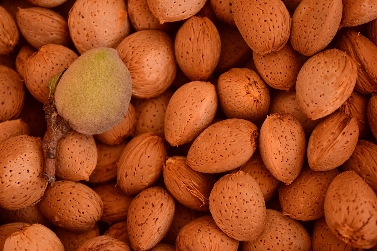 almonds background shell free photo