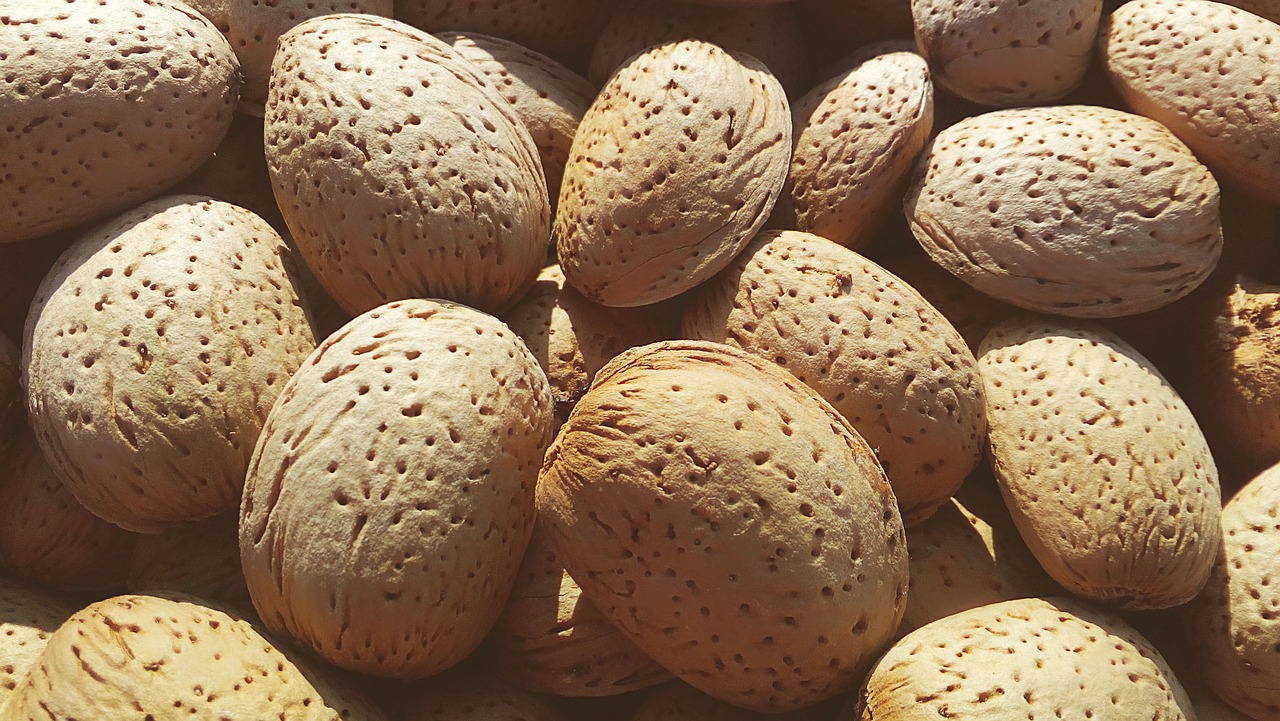 almonds dried fruits shell free photo
