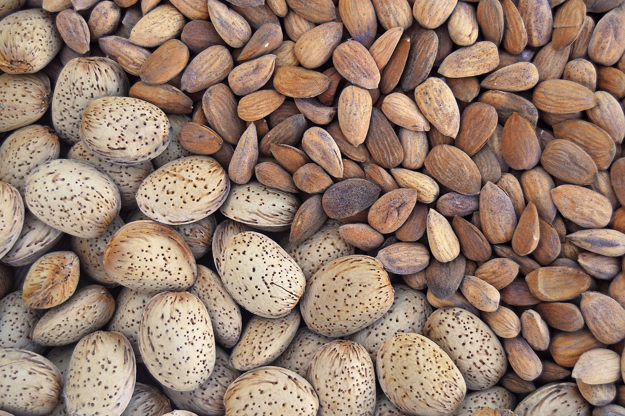 almonds dried fruits dry almonds free photo