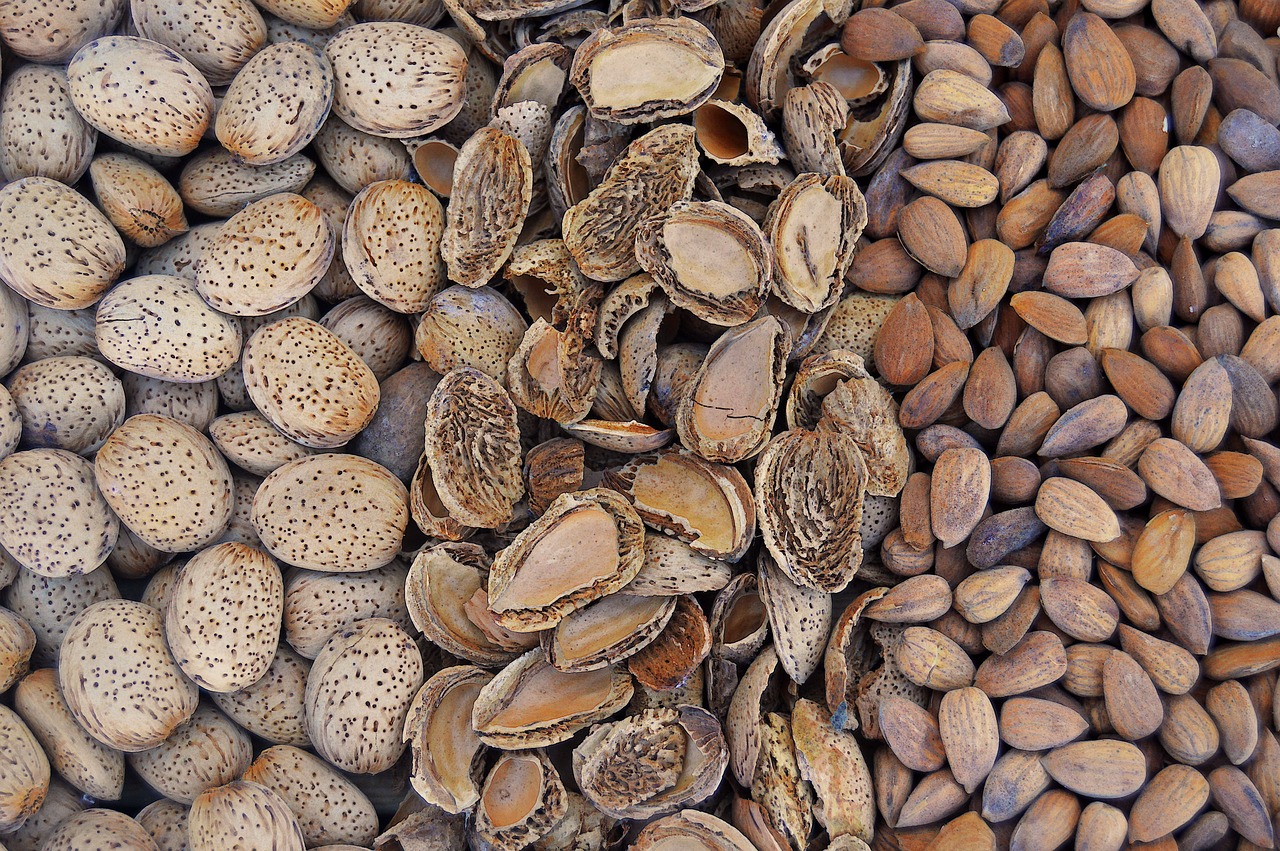 almonds dried fruits fruit free photo