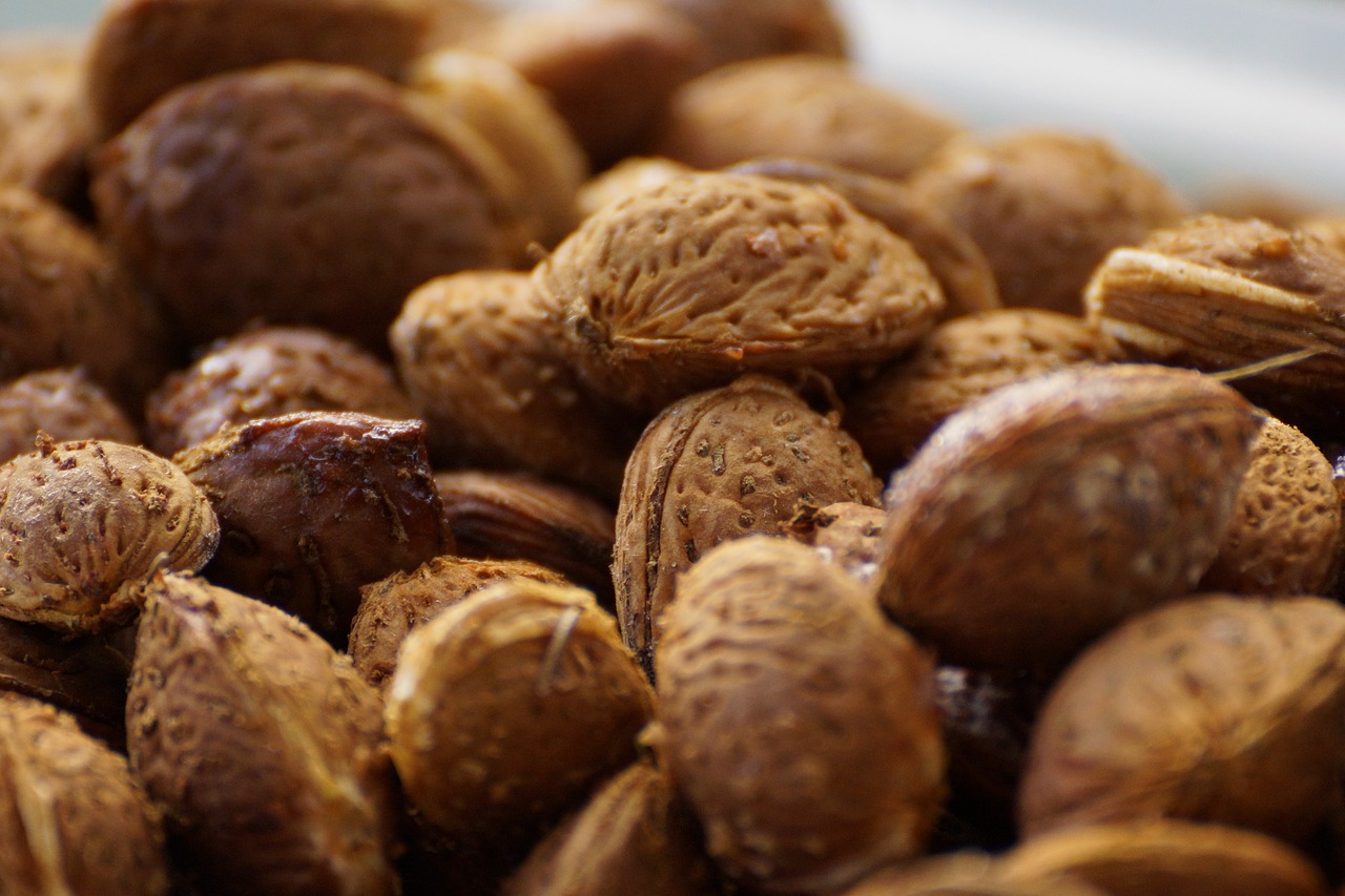 almonds almond kernel almond harvest free photo