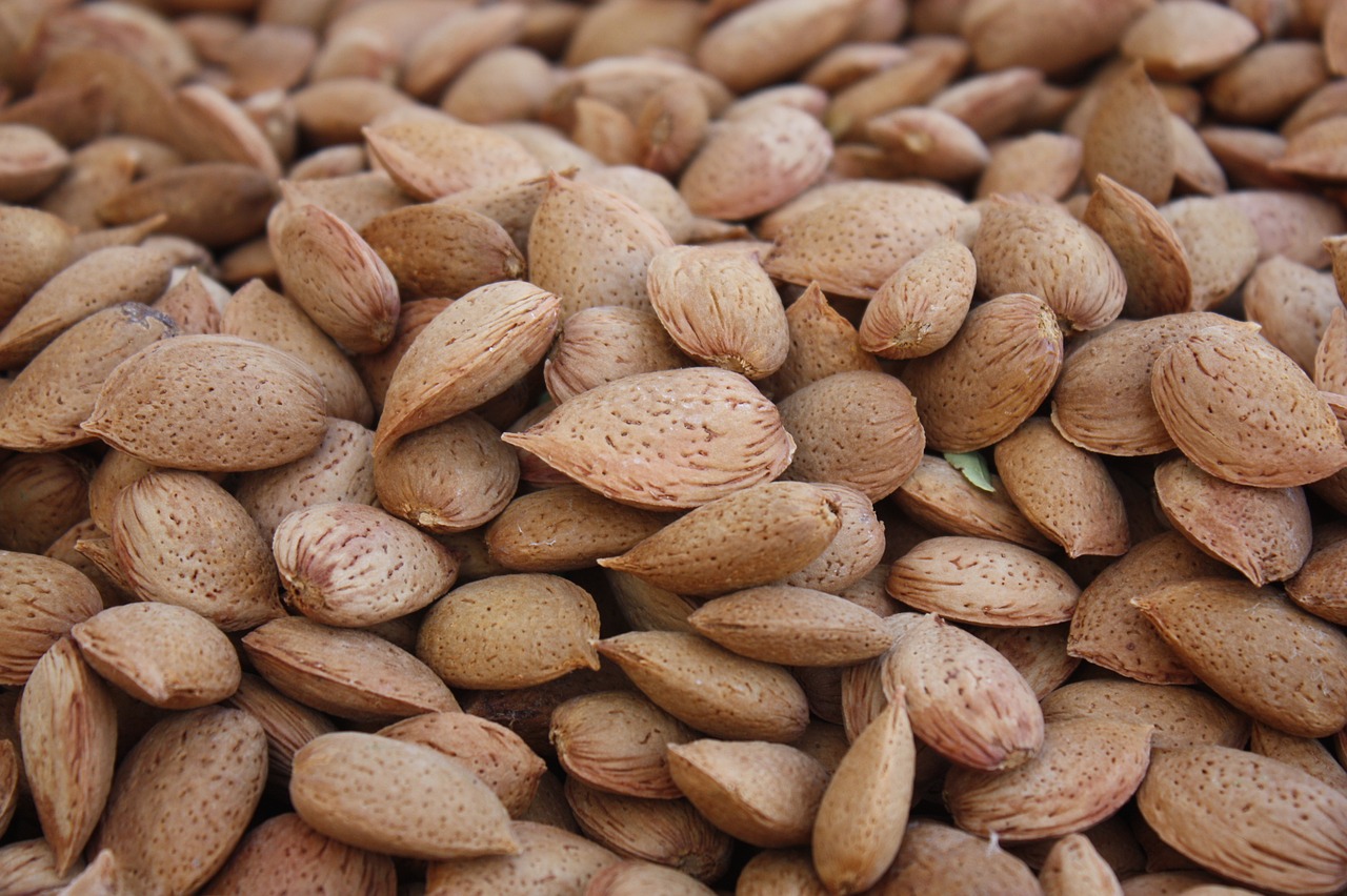 almonds collection agriculture free photo