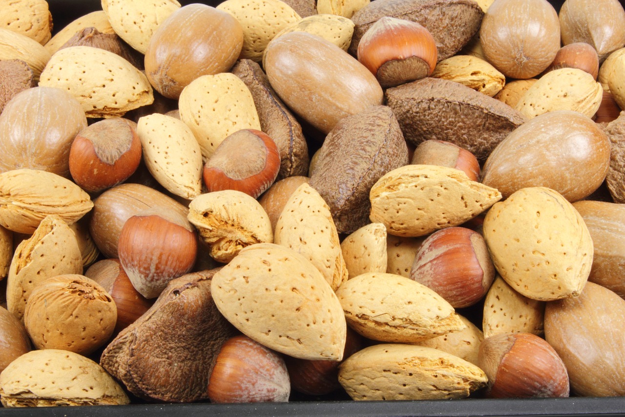 almonds nuts hazelnuts free photo