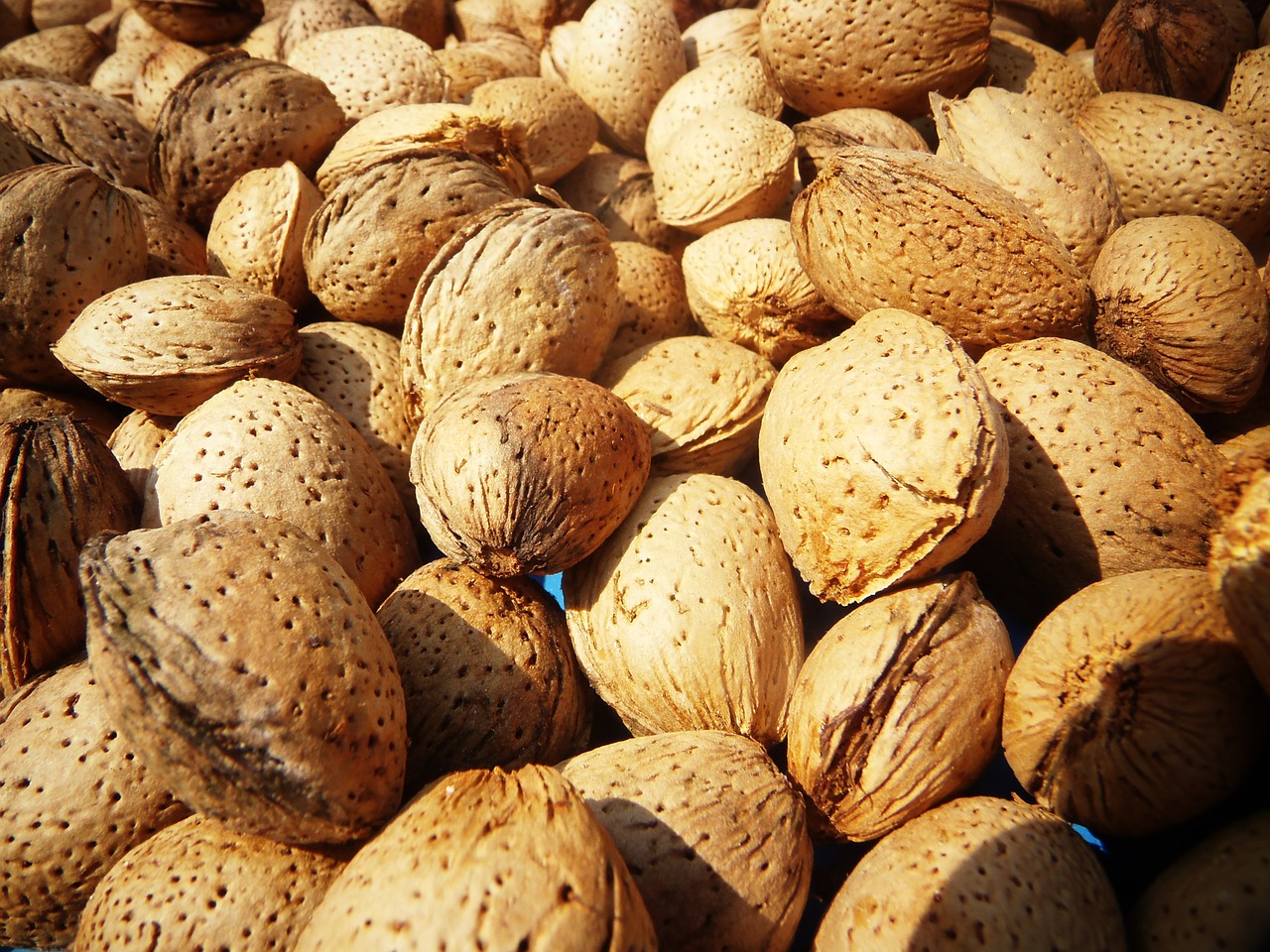 almonds fruit mediterranean free photo