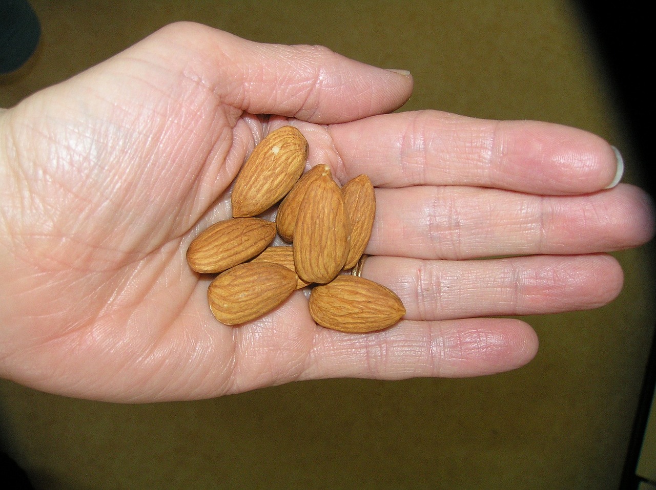 almonds hand handful free photo
