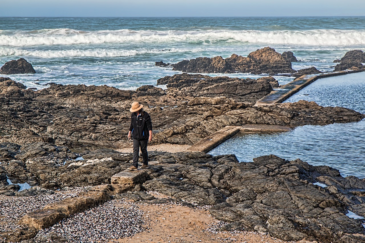 alone beach rocks free photo