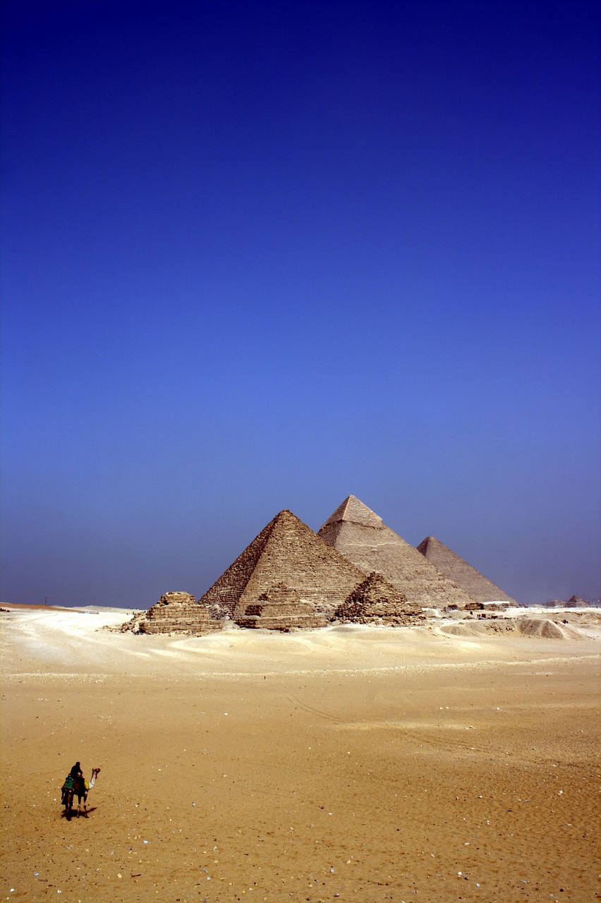 alone camel desert free photo