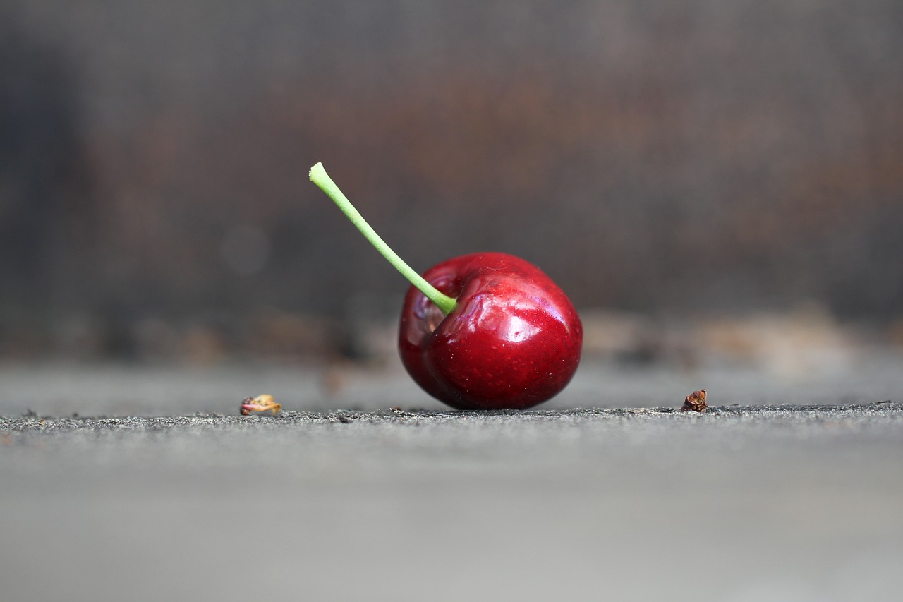 alone lonely red free photo