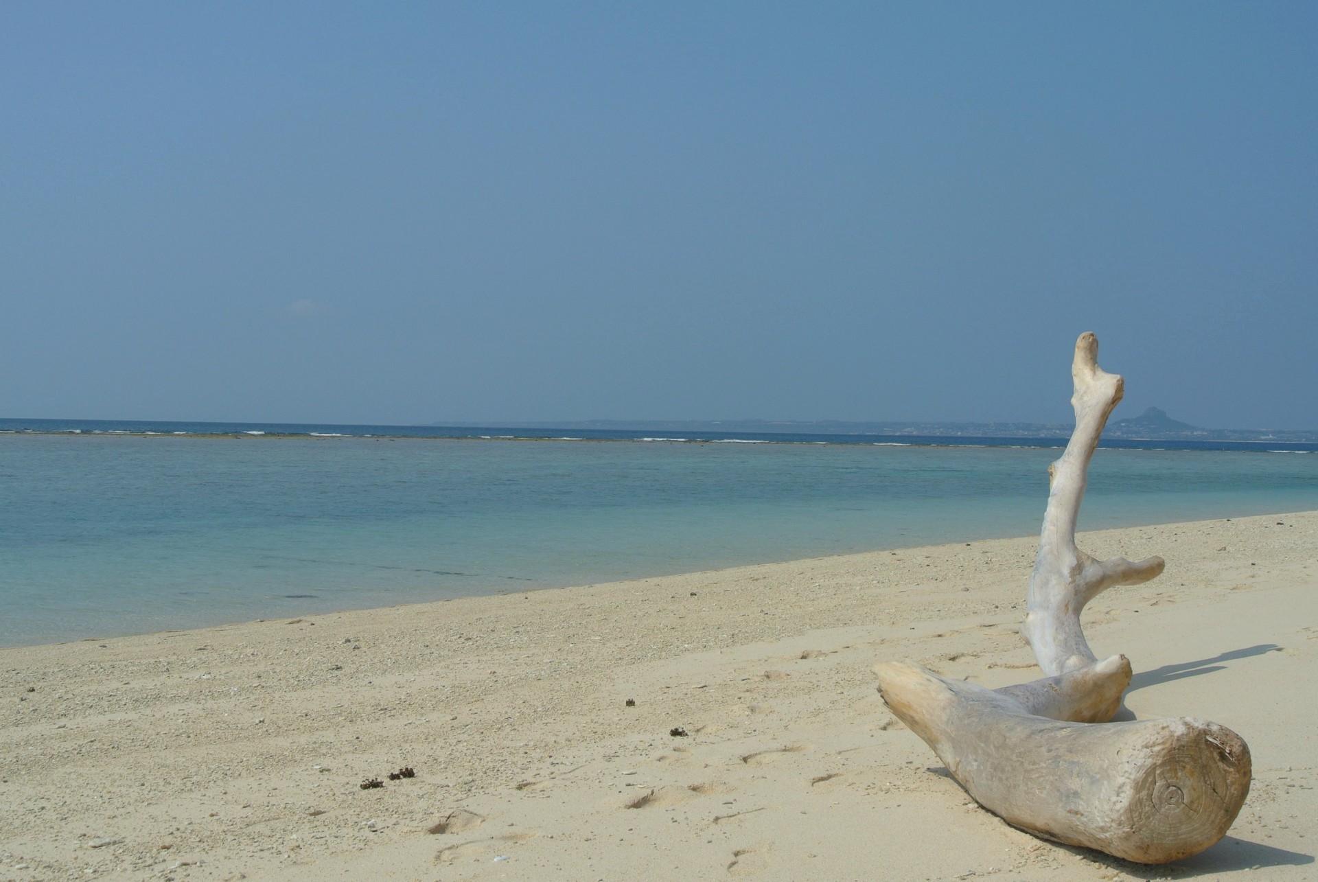 beach ocean okinawa free photo