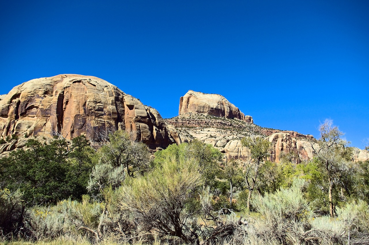 along indian creek  bear ears national monument  sandstone free photo