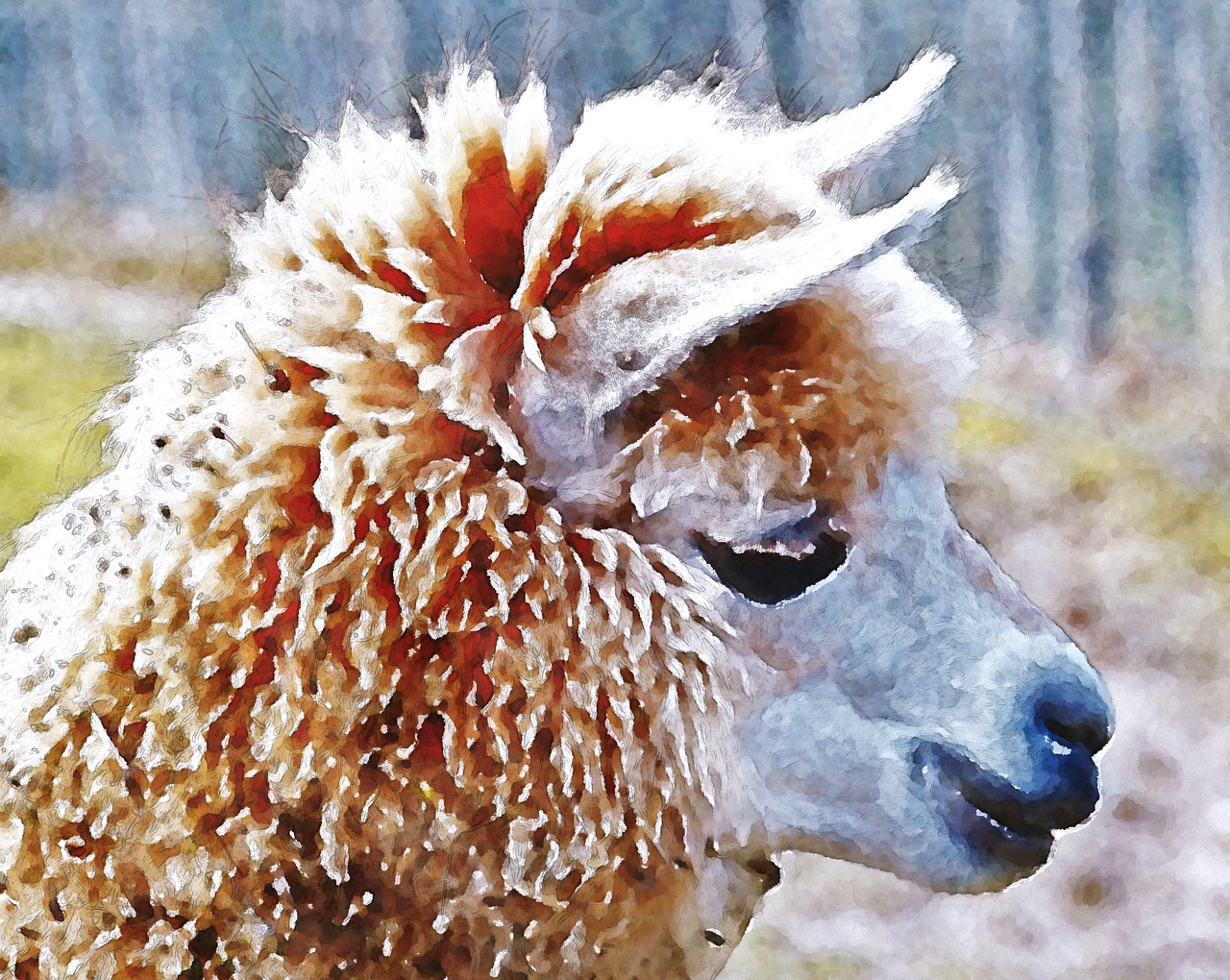 alpaca baby watercolor free photo