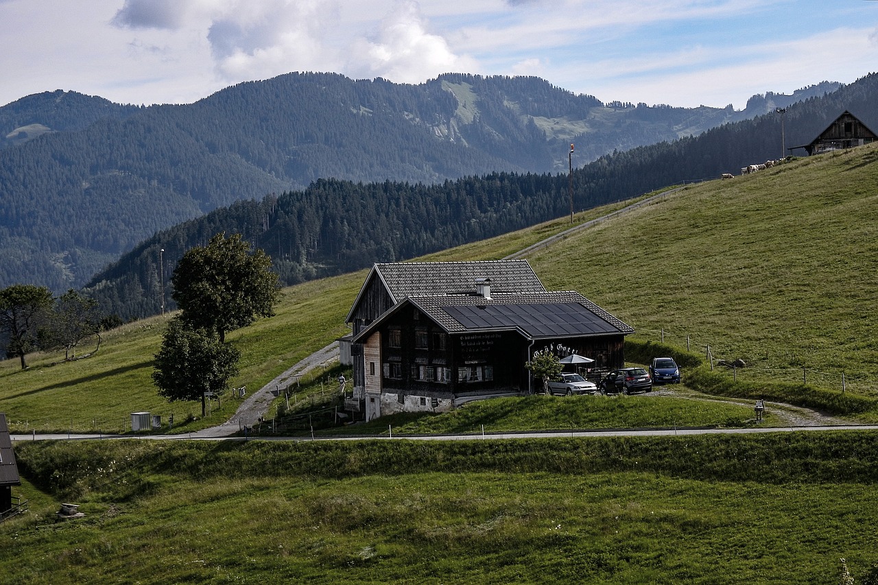 alpe  mountain  landscape free photo