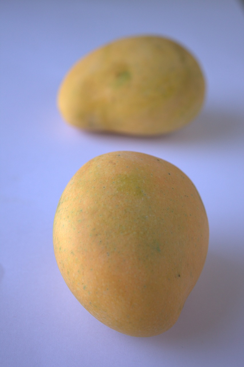 alphonso mango mango sweet free photo
