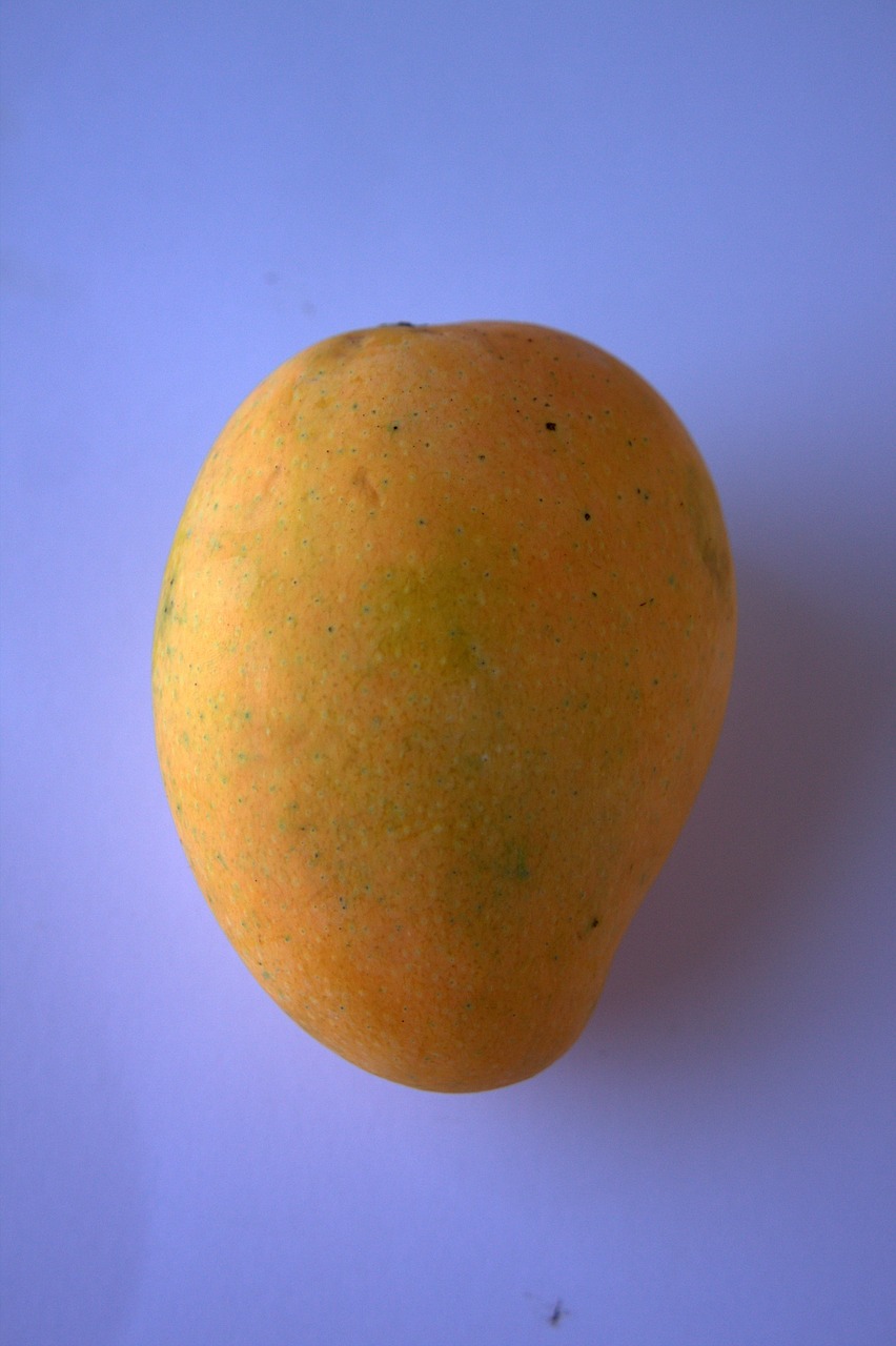 alphonso mango mangoes sweet free photo