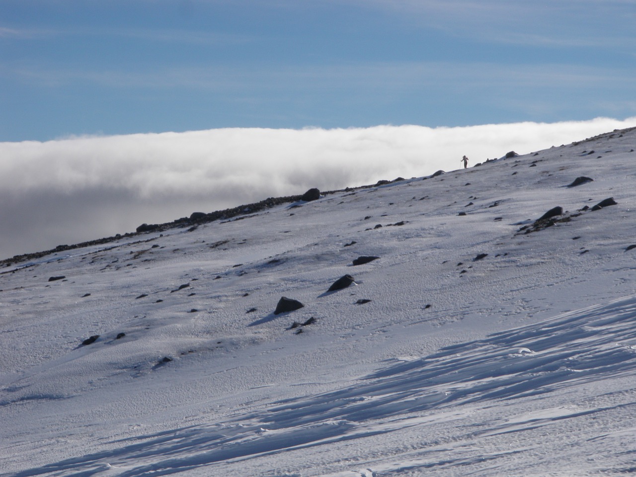 alpine mountain snow free photo