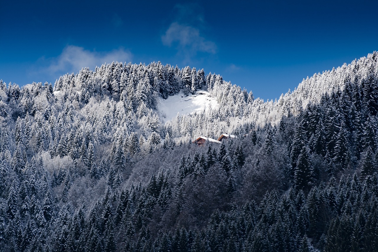 alpine alps snow free photo