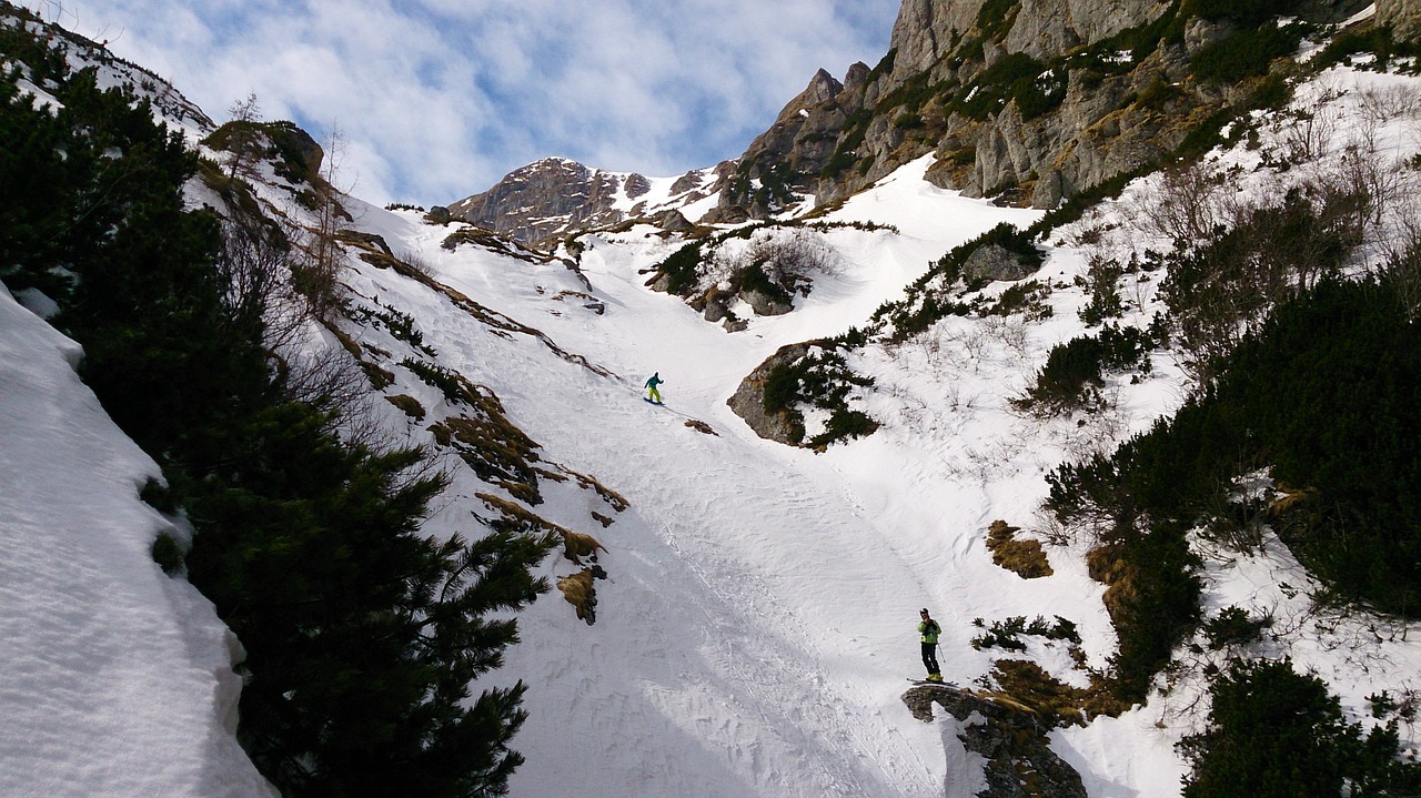 alpine alps skiing free photo