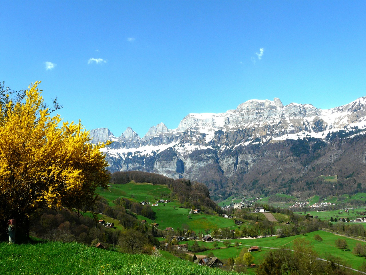 alpine mountains glacier free photo