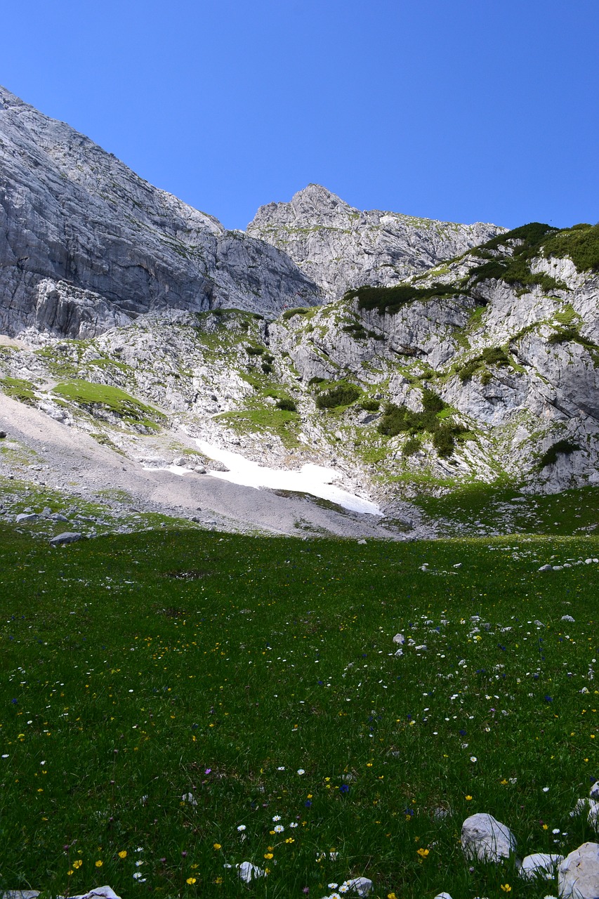 alpine alphabet meadow free photo