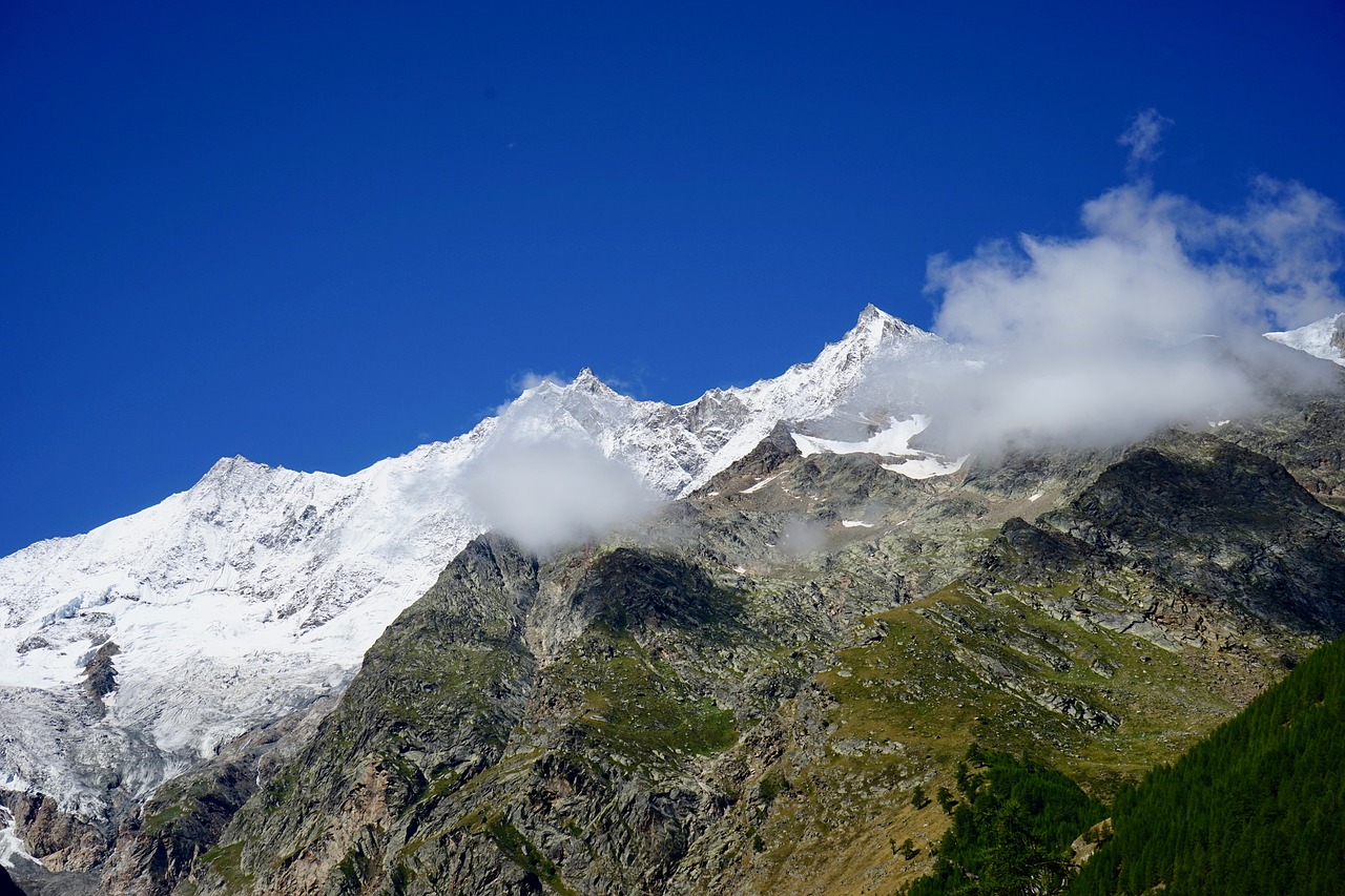 alpine sowing swiss alps free photo