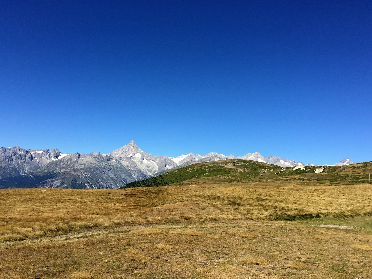 alpine switzerland nature free photo