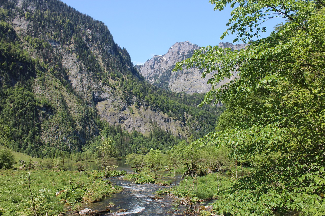 alpine bach water free photo