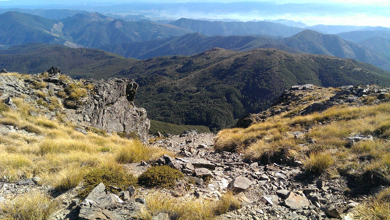 alpine mountain top tussock mountain free photo