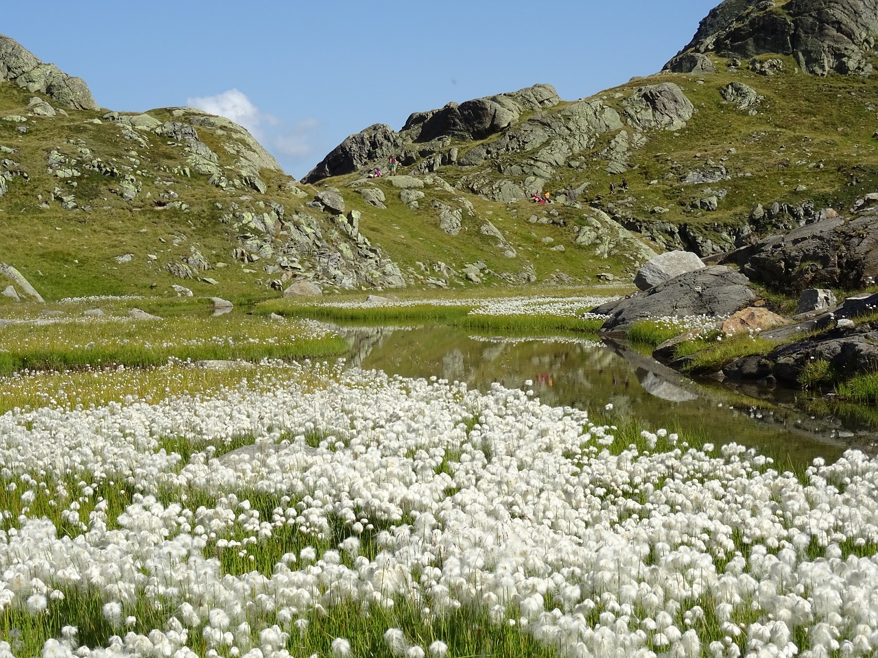 alpine stubai mountains free photo