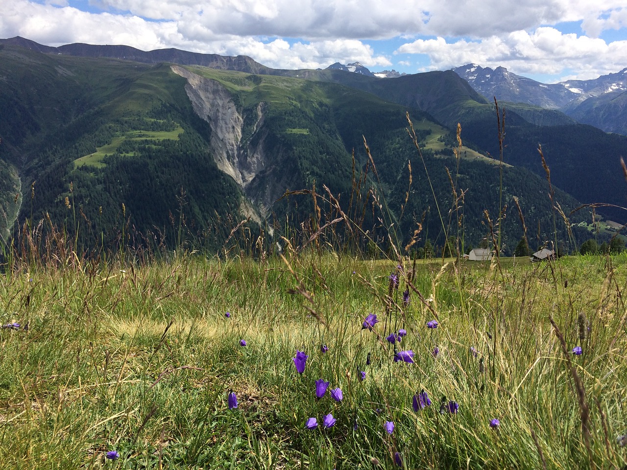 alpine nature mountains free photo