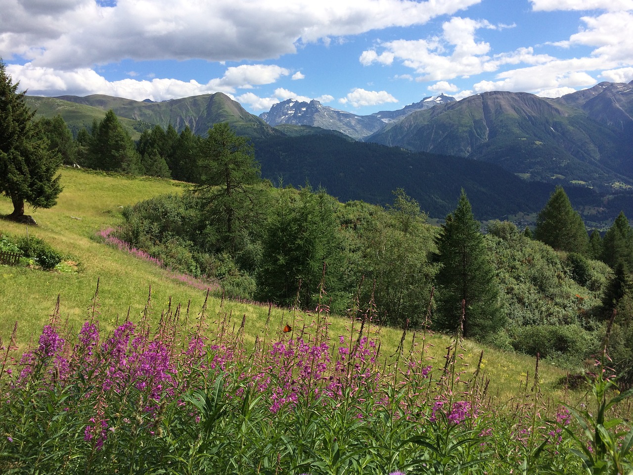 alpine nature landscape free photo