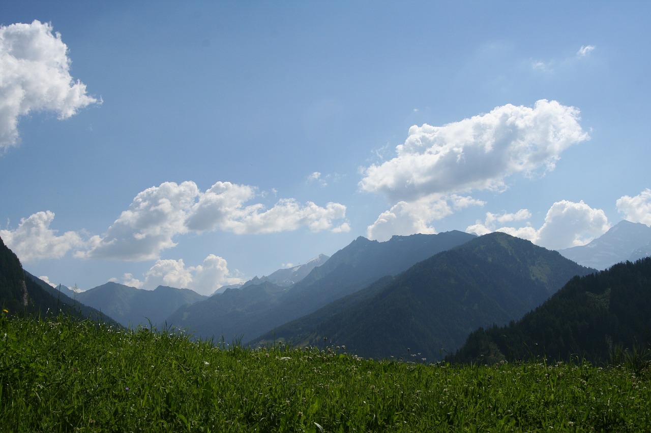 alpine mountain meadow summer free photo