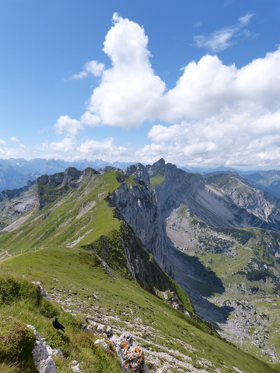 alpine mountains summer free photo