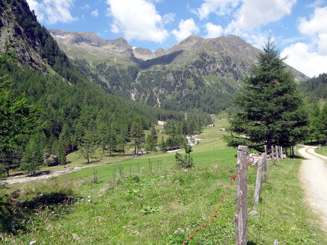 alpine  hiking  mountains free photo