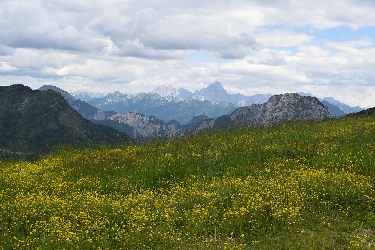 alpine  nature  mountains free photo