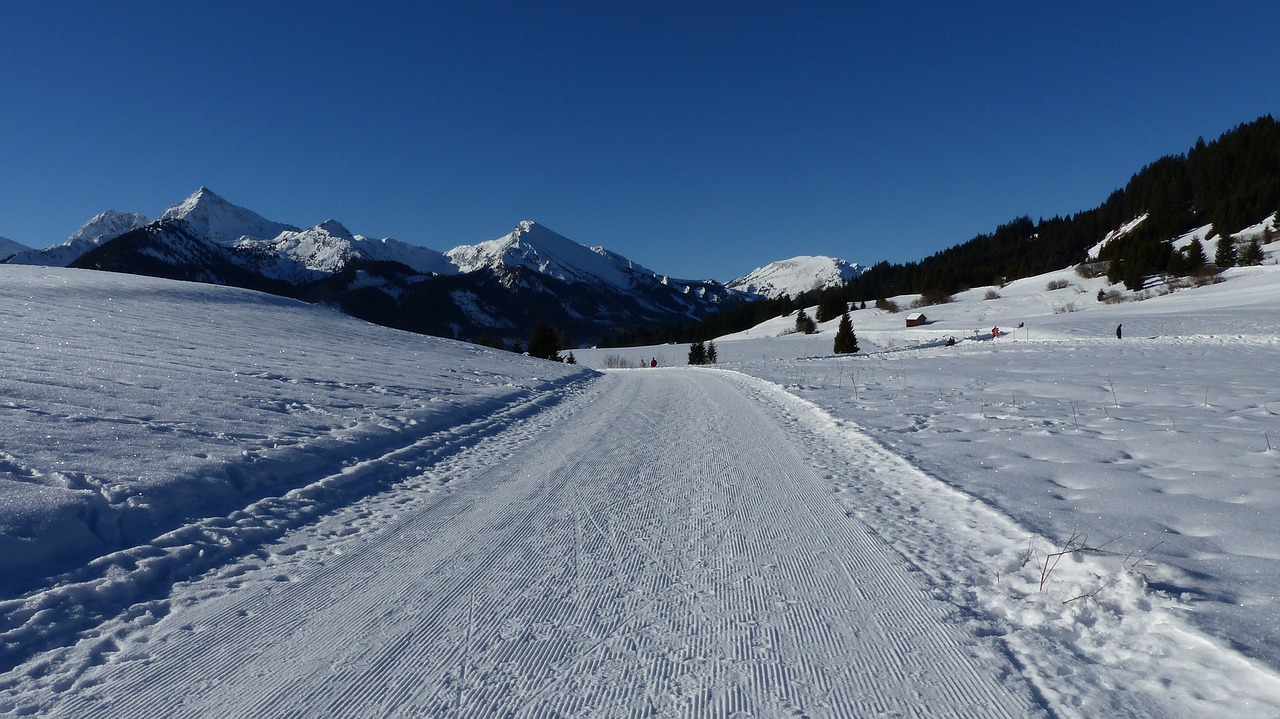 alpine  snow landscape  wintry free photo