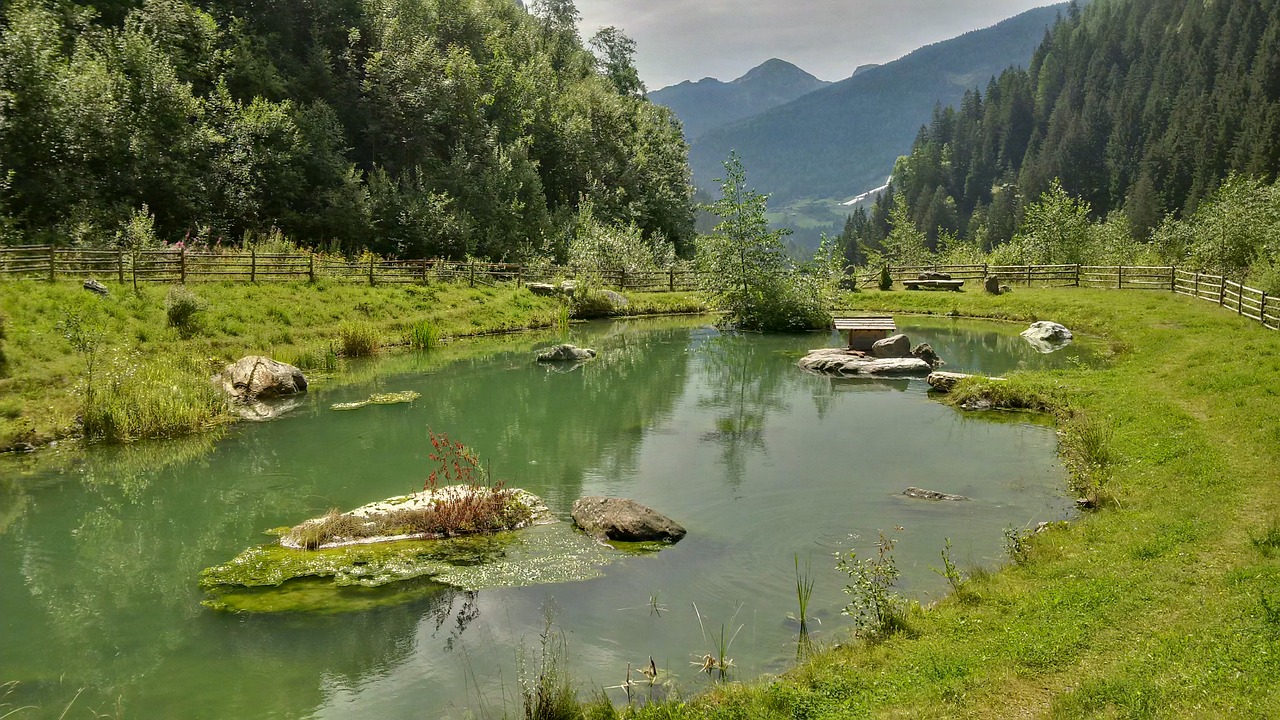 alpine  lake  bergsee free photo