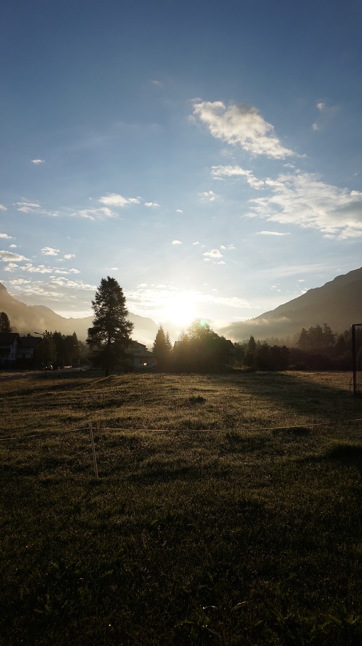 alpine  sun  morning free photo