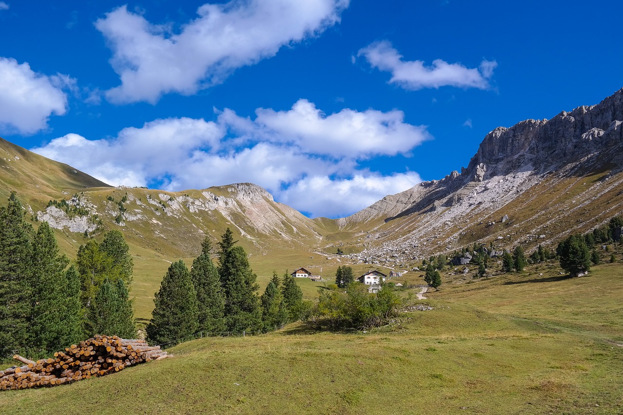 alpine  dolomites  south tyrol free photo