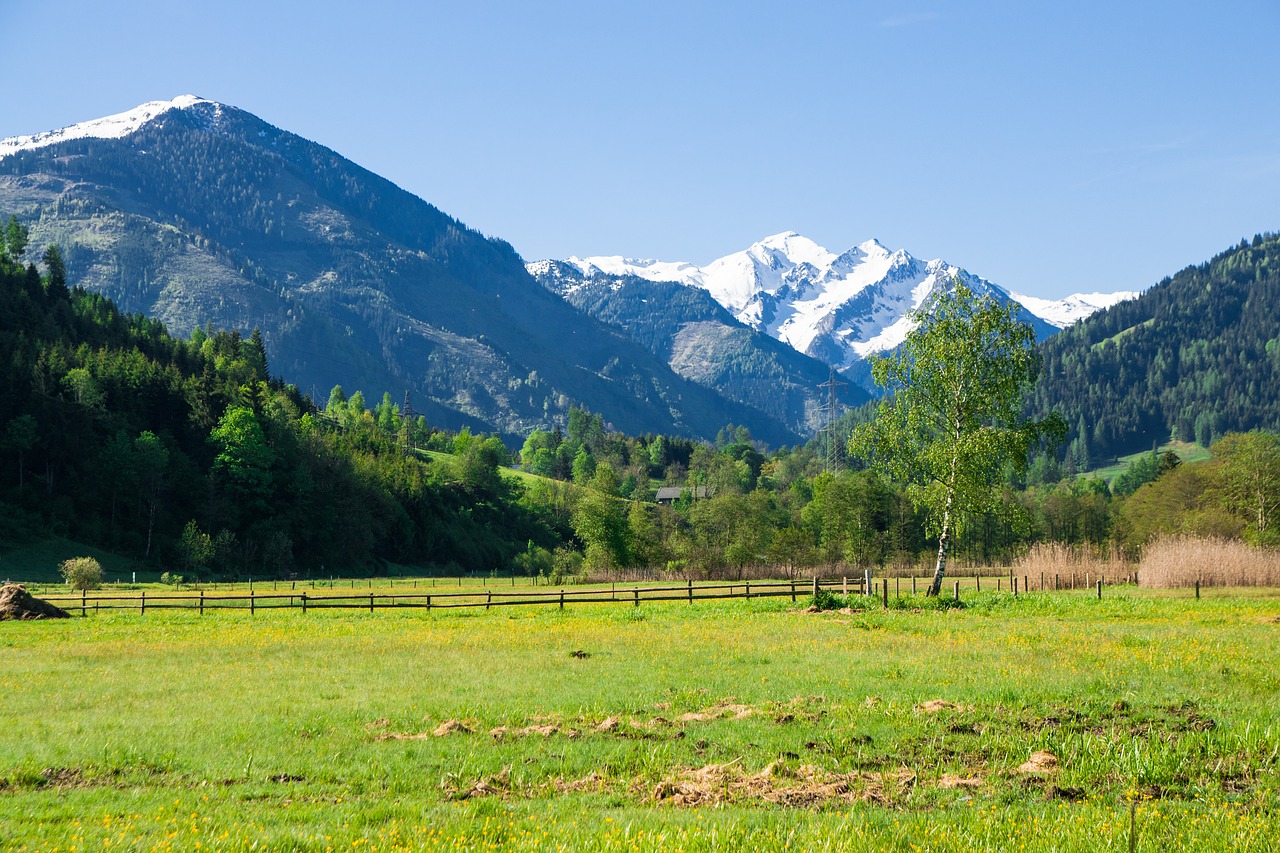 alpine  austria  mountains free photo