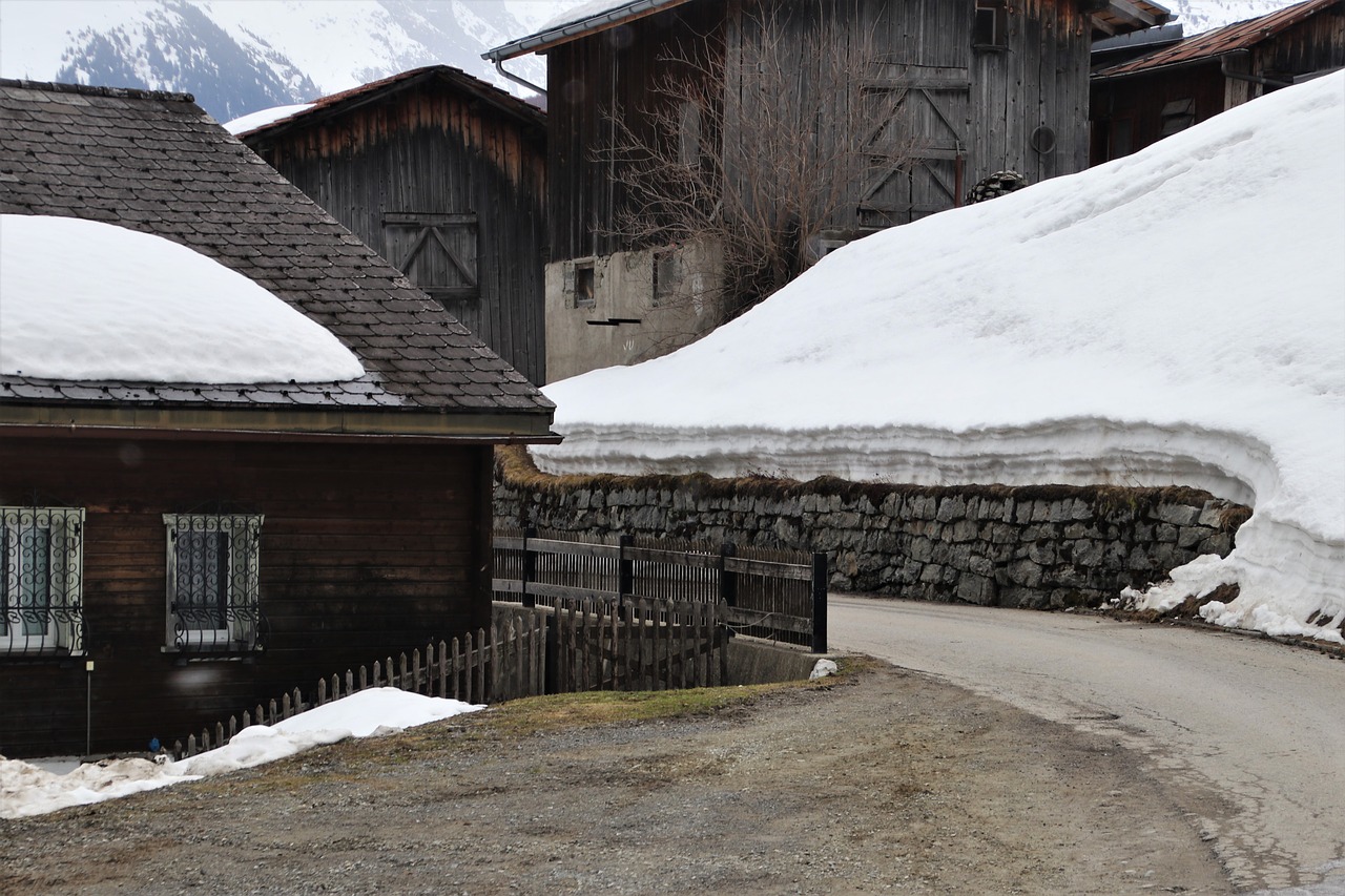 alpine  wooden cottage  village free photo
