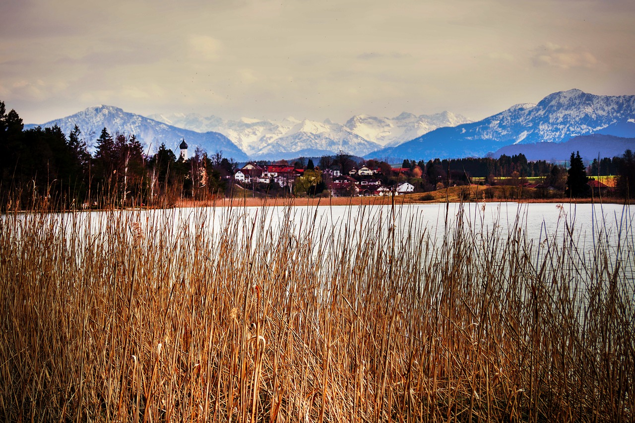 alpine  panorama  reed free photo