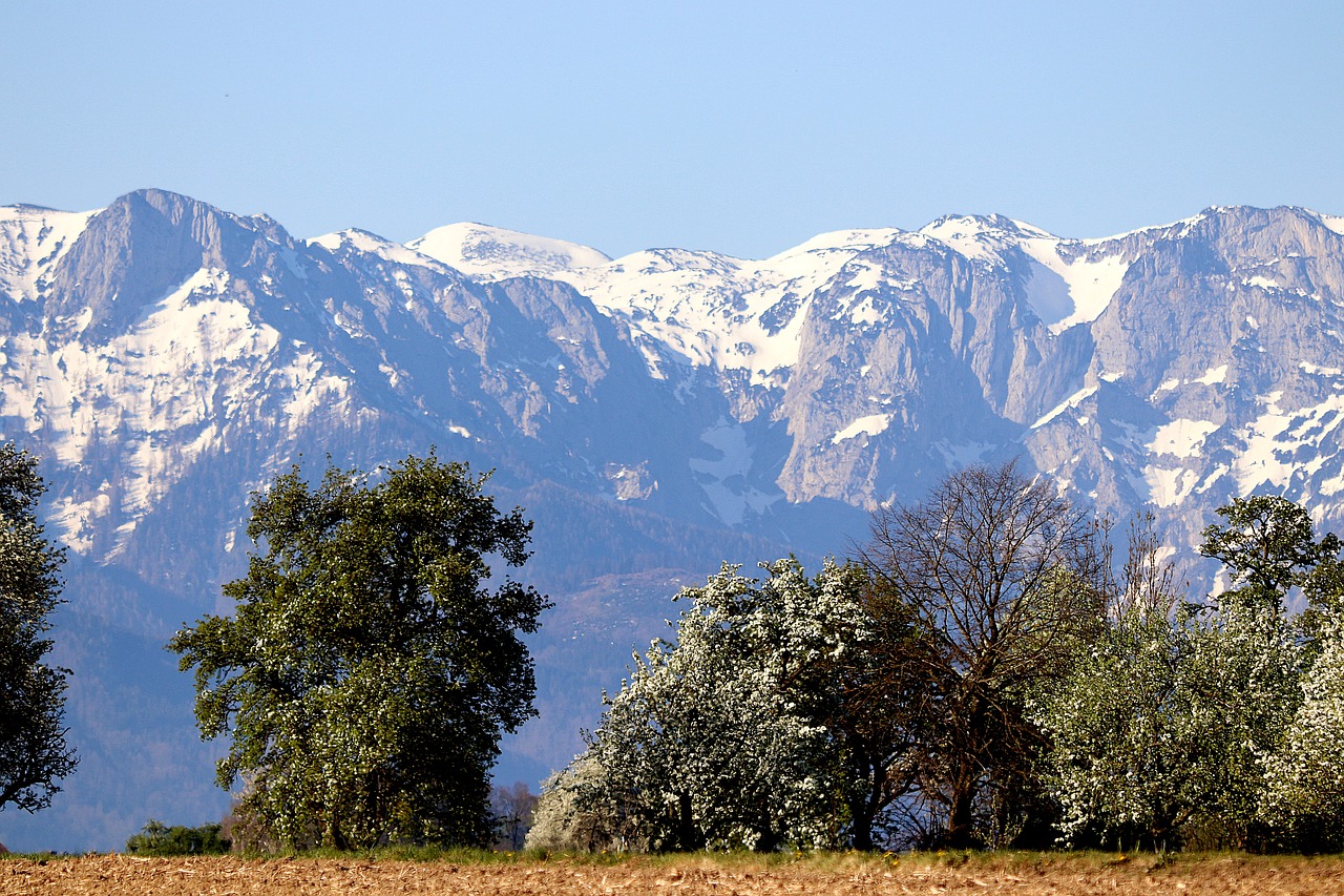 alpine  spring  landscape free photo