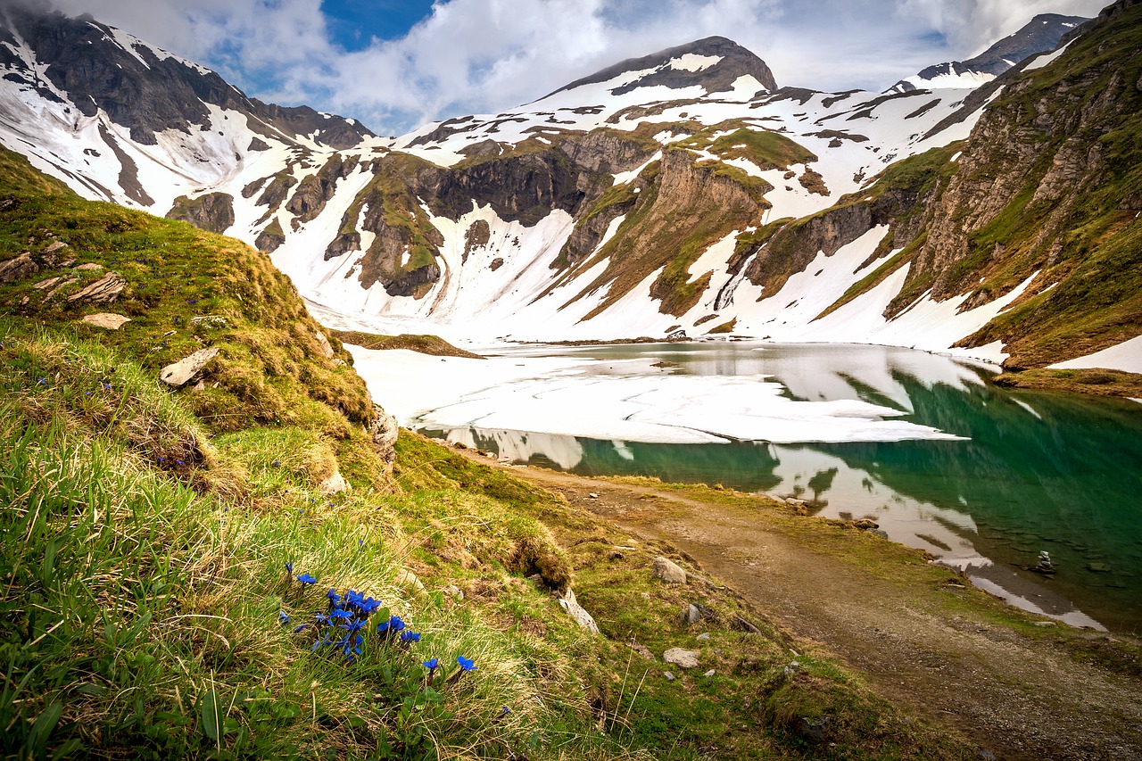 alpine  mountains  bergsee free photo