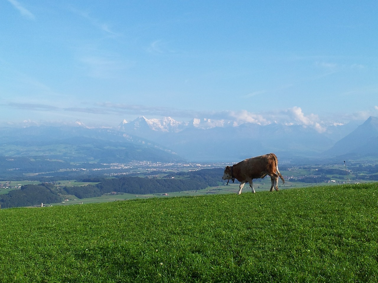 alpine switzerland nature free photo