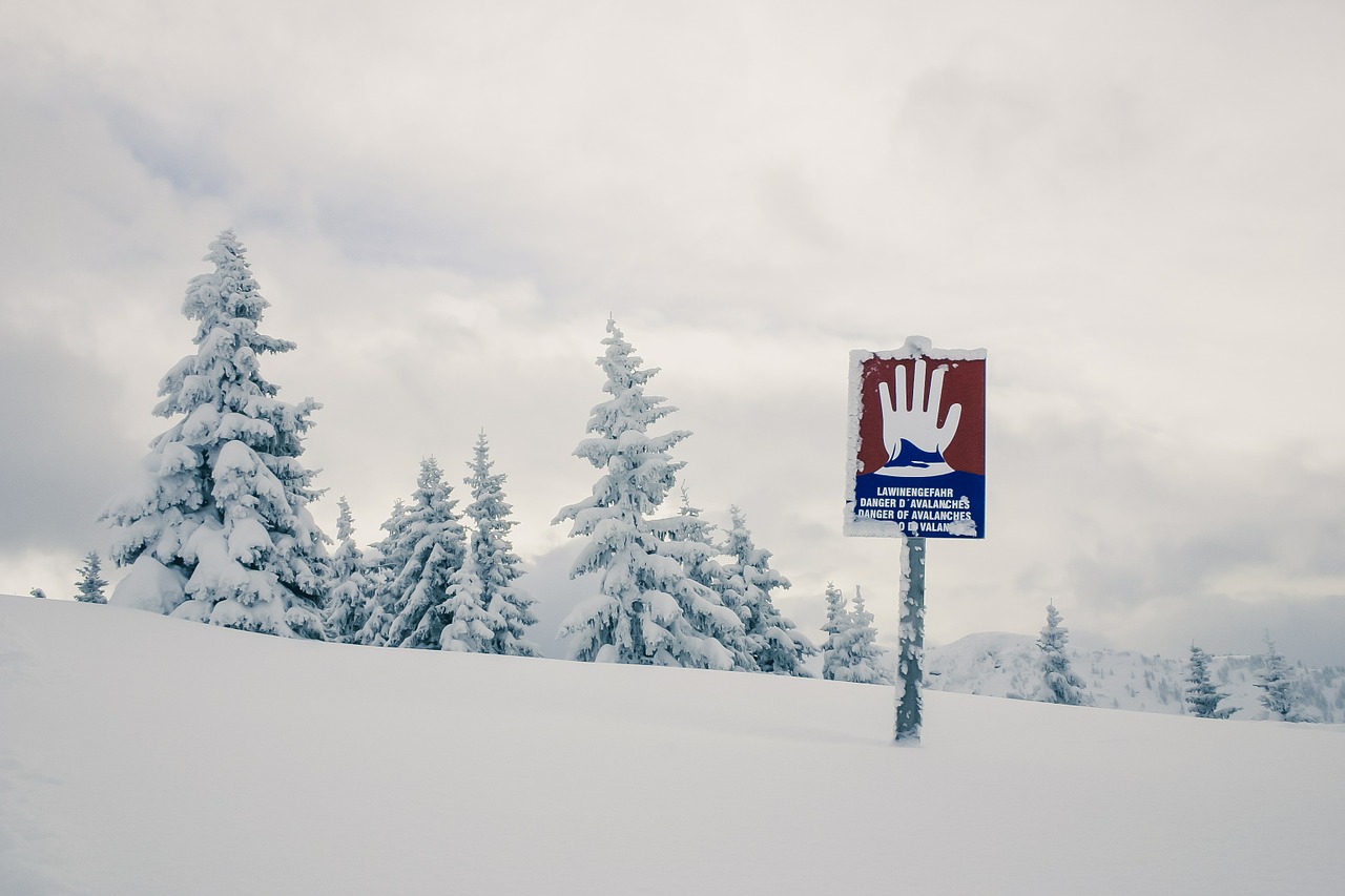 alpine winter landscape free photo