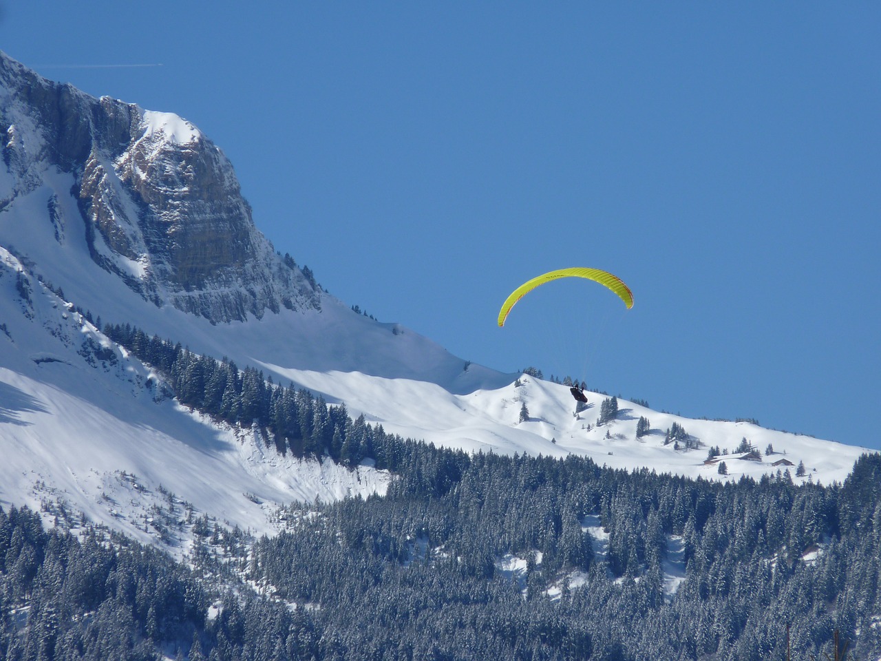 alpine paraglider fly free photo
